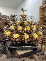 Bình Hoa Mai Vàng - Lá Gỗ Sưa, Bình Gỗ Mun Hoa MQ08